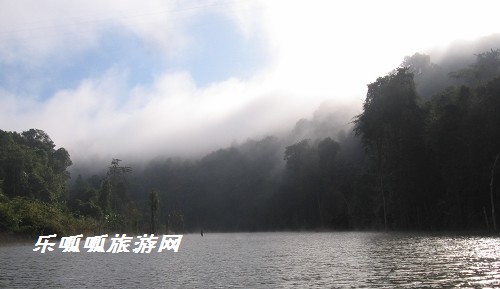 1480501087687095.jpg