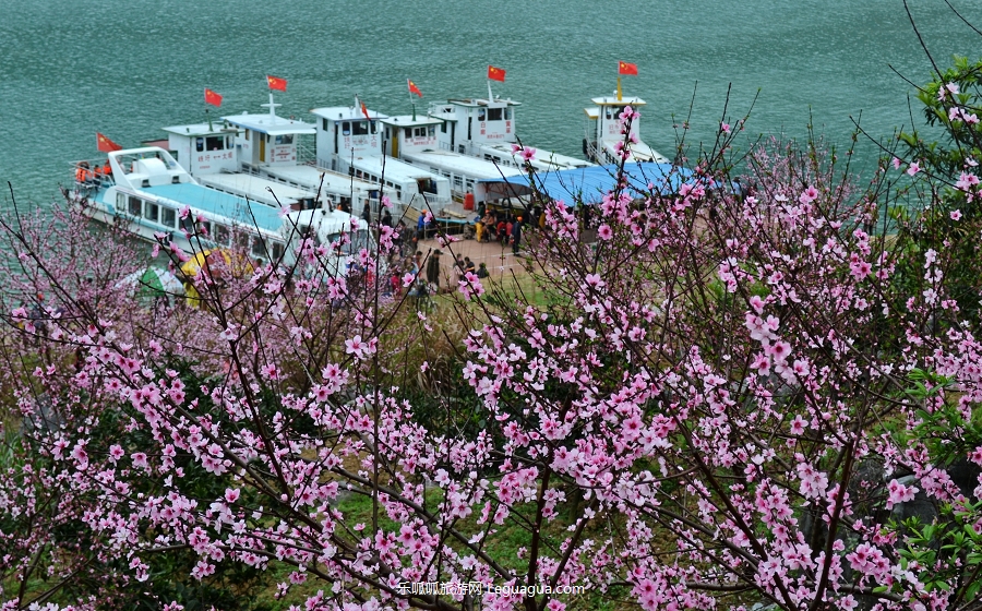 东江湖桃花岛 (3)