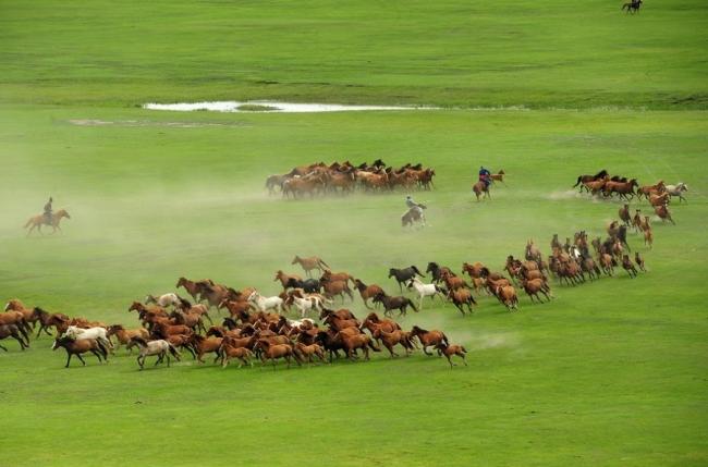 骑马.jpg