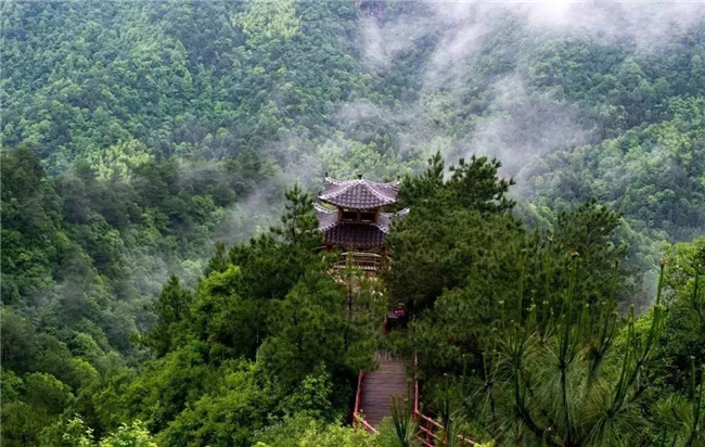 怀化大峡谷.webp.jpg