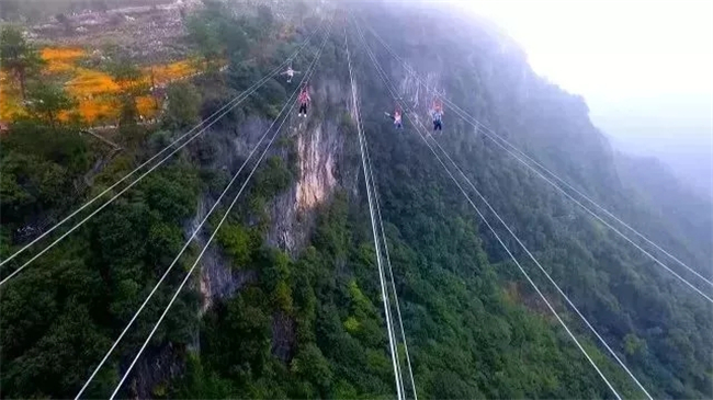 高空溜索.webp.jpg