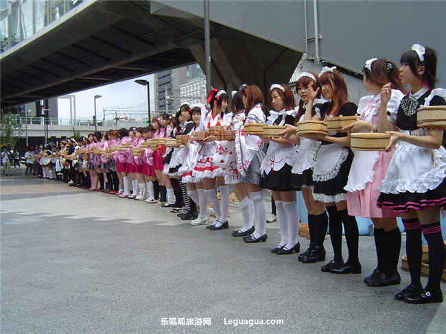 电子.jpg