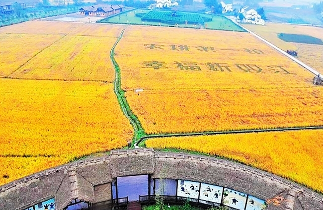 稻花香里.jpg