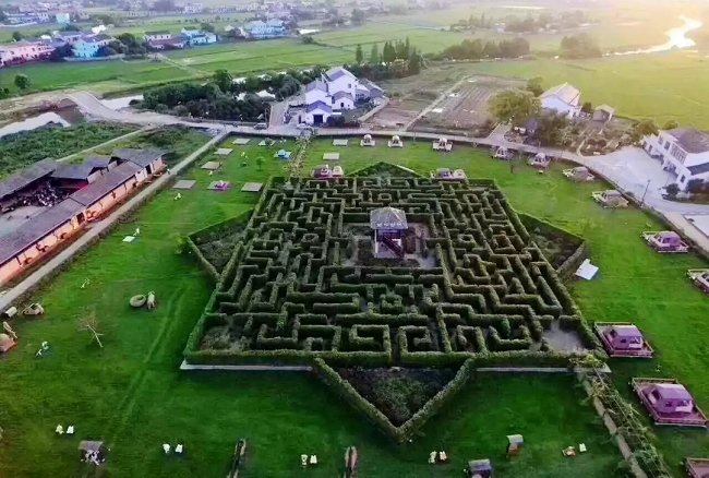 植物迷宫.jpg