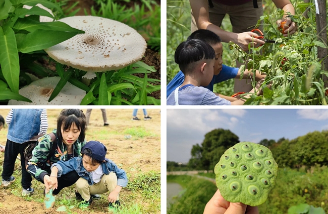 种子的秘密 (2).jpg