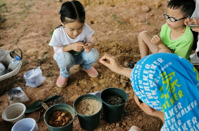 种子的秘密 (1).jpg
