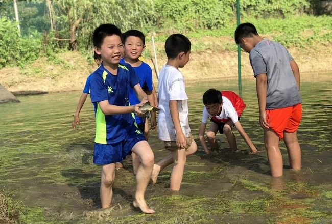 摸鱼 (1).jpg