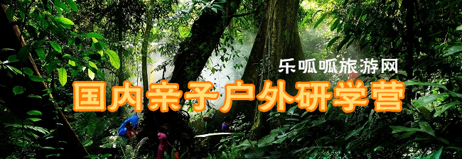 热带雨林.jpg