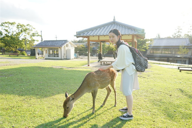 奈良公园.jpg