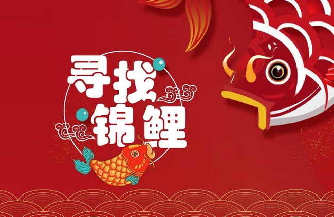 寻找锦鲤1.jpg