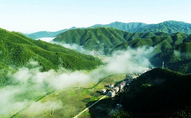 阳明山1 (4).jpg