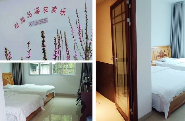 1589361228147547.jpg 云上大院杜鹃花海 (5).jpg