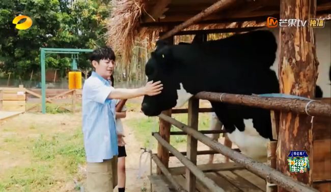 去西双版纳邂逅《向往的生活4》 (28).jpg