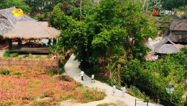 去西双版纳邂逅《向往的生活4》 (29).jpg