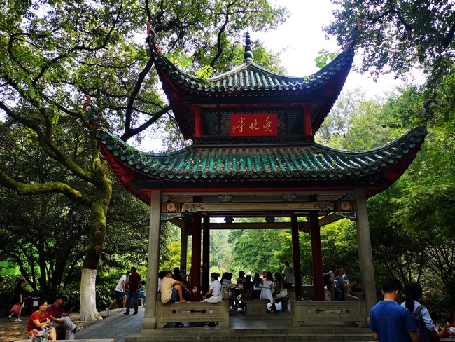 岳麓山徒步 (7).jpg