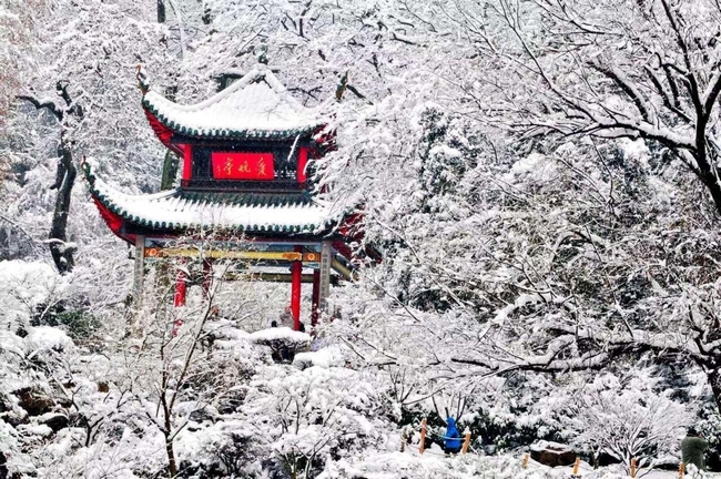 岳麓山雪景1.jpg