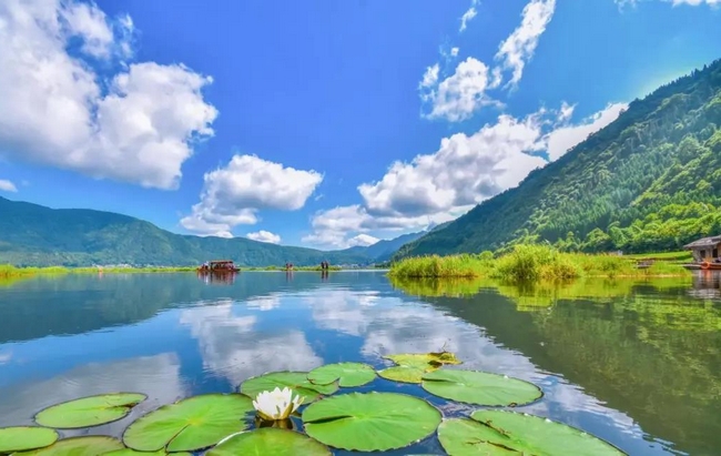 北海湿地，夏天6.jpg