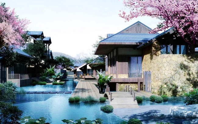 梅花洲1.jpg