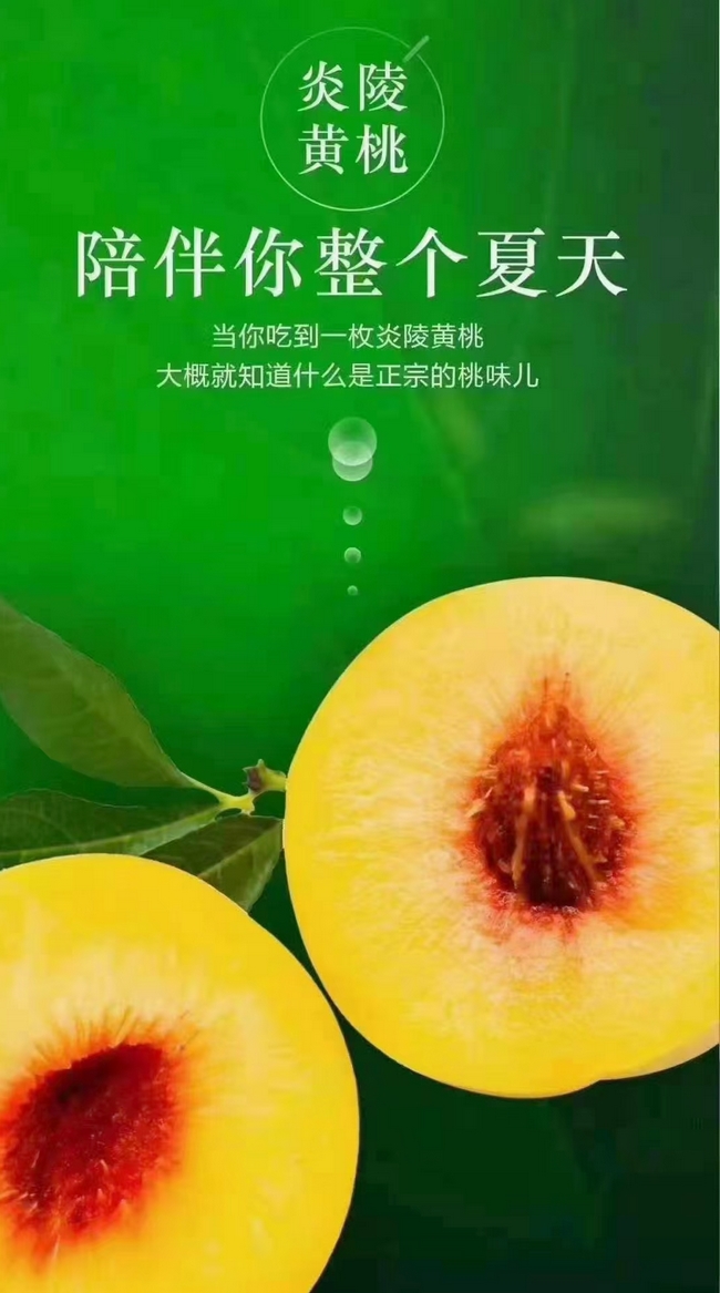 1627732973435411.jpg 炎陵黄桃简介 (1).jpg