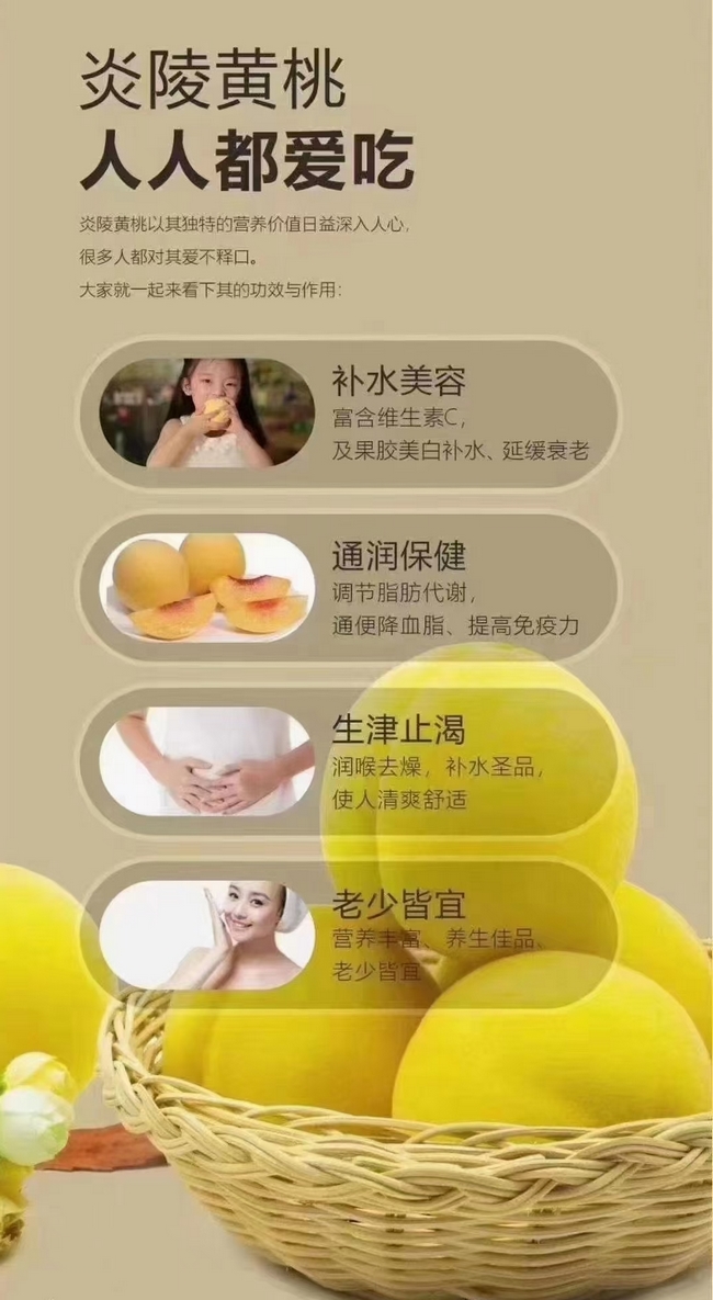1627732997229991.jpg 炎陵黄桃简介 (2).jpg
