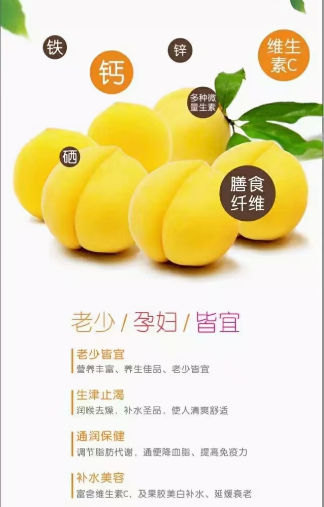 1627733043445503.jpg 炎陵黄桃简介 (5).jpg