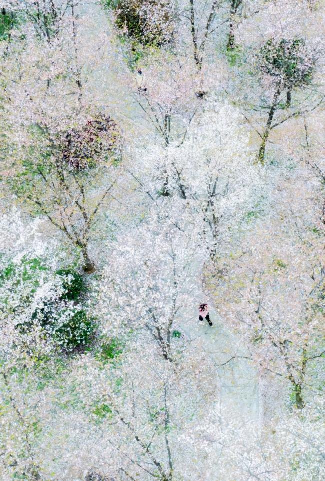1000-gigapixel-scale-1_30x.jpg