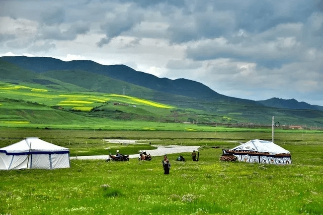 桑科草原1.jpg