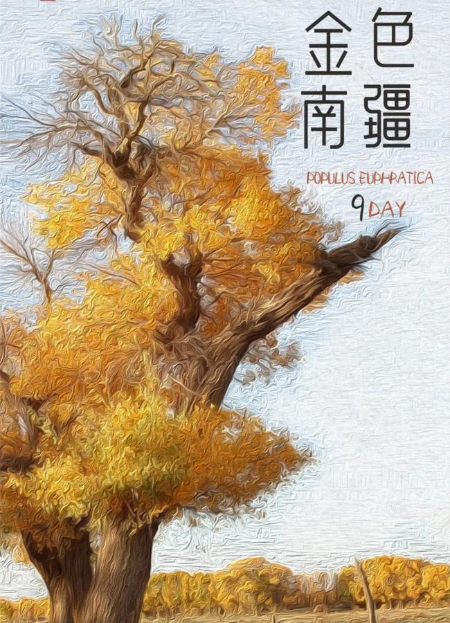 640_副本.jpg
